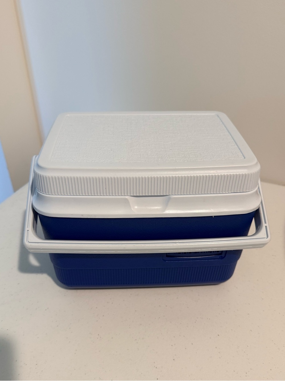 Blue and White Portable Cooler / Lunch Box